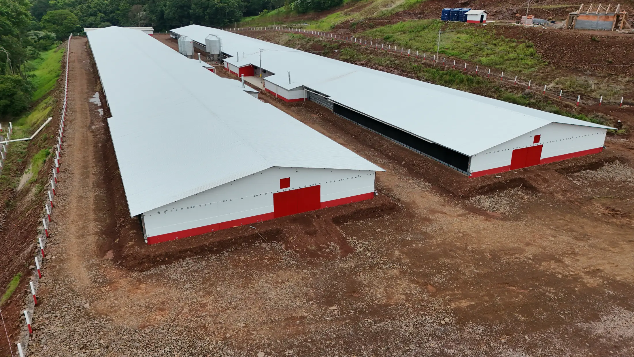 Aviário de grande extensão com estrutura pré-moldada de concreto